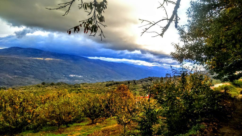 Séjour à la campagne El Pajar De Tia Maria Casas del Castañar