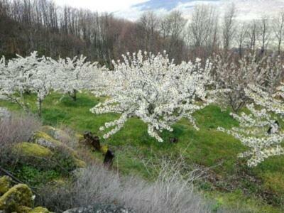 El Pajar De Tia Maria Country house